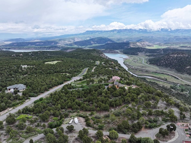 TBD Pine Dr, Ridgway, CO 81432