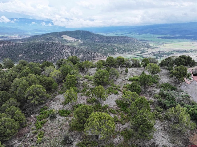 TBD Pine Dr, Ridgway, CO 81432