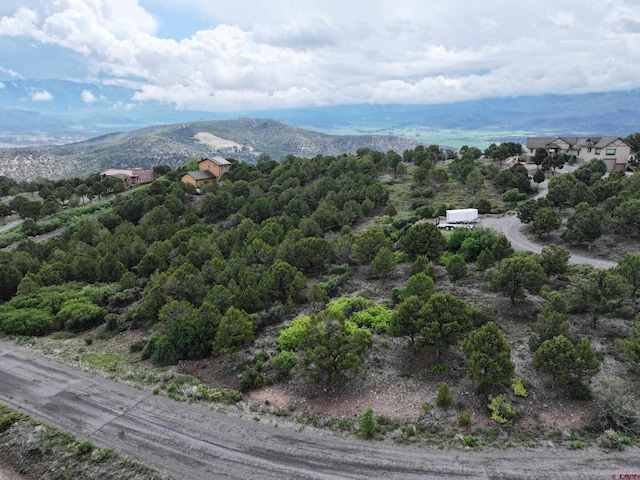 TBD Pine Dr, Ridgway, CO 81432