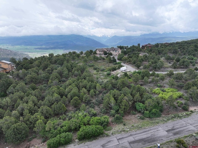 TBD Pine Dr, Ridgway, CO 81432