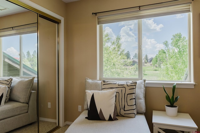 311 Falcon Dr, Pagosa Springs, CO 81147 - sitting room with carpet and baseboards