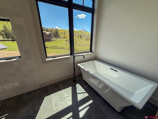 470 Meadow Dr, Crested Butte, CO 81224 - full bathroom featuring a freestanding tub