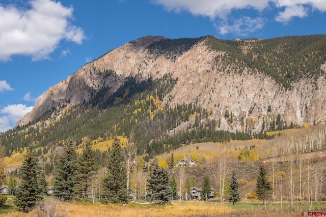 315 Par Ln, Crested Butte, CO 81224