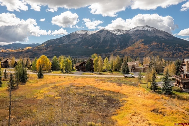 315 Par Ln, Crested Butte, CO 81224