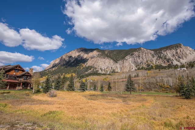 315 Par Ln, Crested Butte, CO 81224