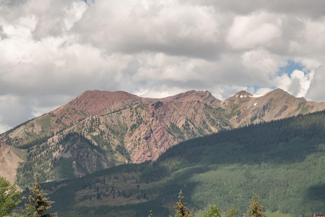42 Gold Link Dr, Mount Crested Butte, CO 81225 - mountain view featuring a forest