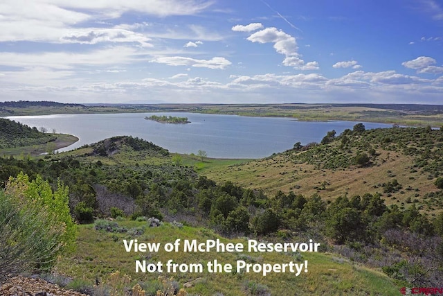 19305 Rd 26.2 Loop, Dolores, CO 81323