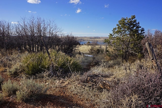 19305 Rd 26.2 Loop, Dolores, CO 81323