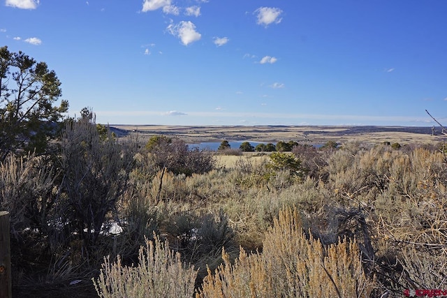 19305 Rd 26.2 Loop, Dolores, CO 81323