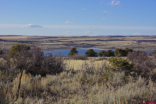19305 Rd 26.2 Loop, Dolores, CO 81323