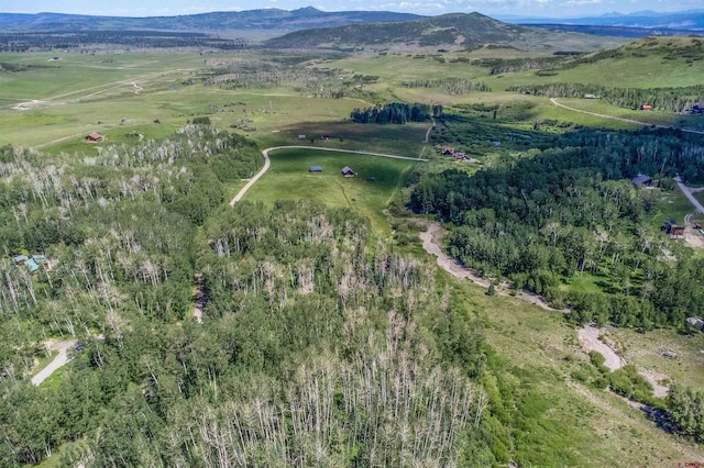 3170 San Juan Vista Rd, Placerville, CO 81430