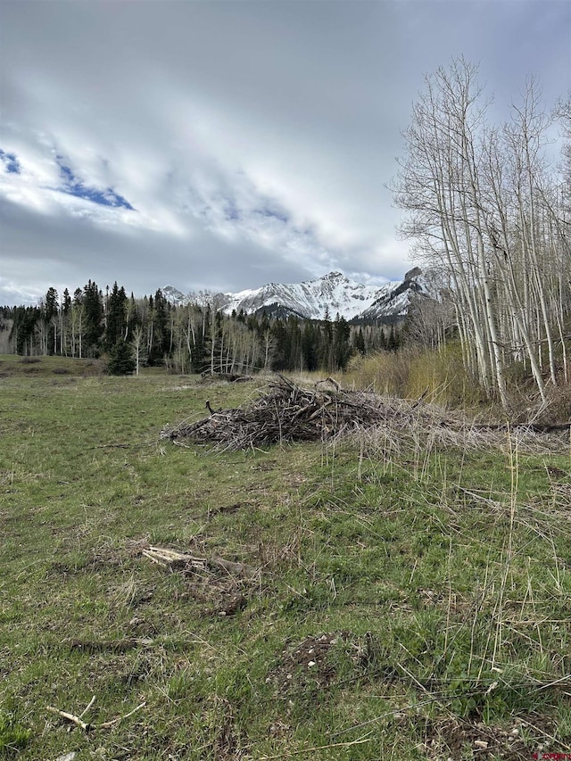 3170 San Juan Vista Rd, Placerville, CO 81430