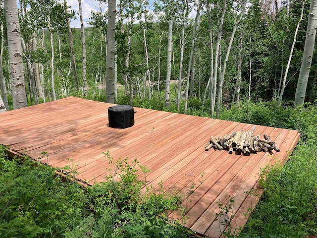 3170 San Juan Vista Rd, Placerville, CO 81430