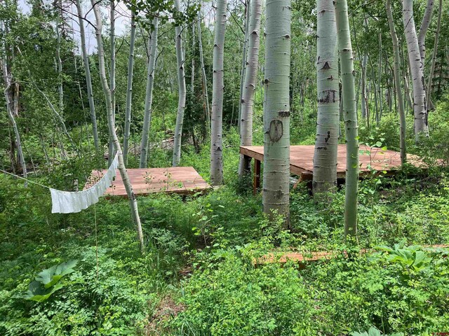 3170 San Juan Vista Rd, Placerville, CO 81430