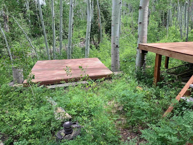 3170 San Juan Vista Rd, Placerville, CO 81430