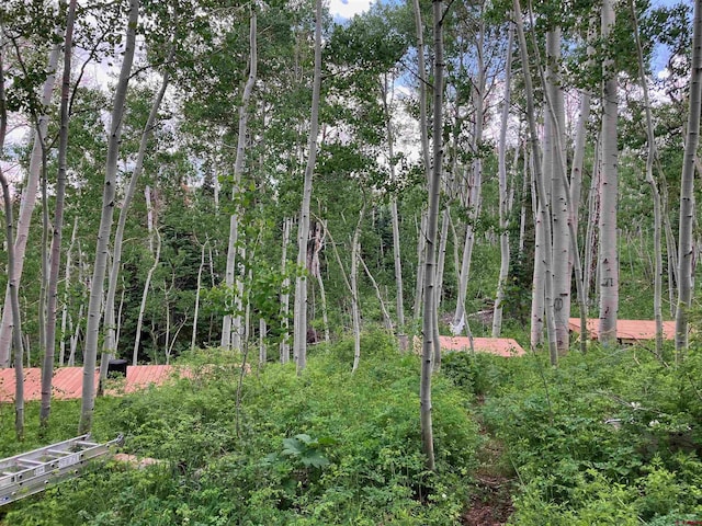 3170 San Juan Vista Rd, Placerville, CO 81430