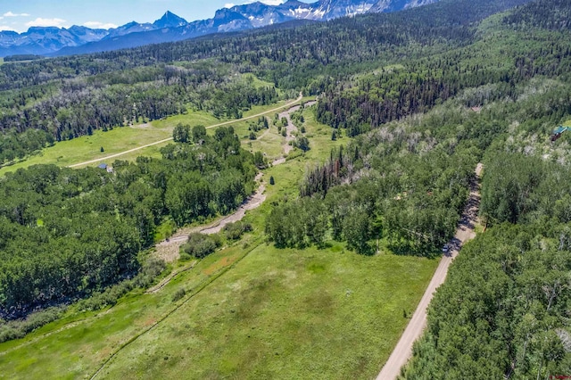 3170 San Juan Vista Rd, Placerville, CO 81430