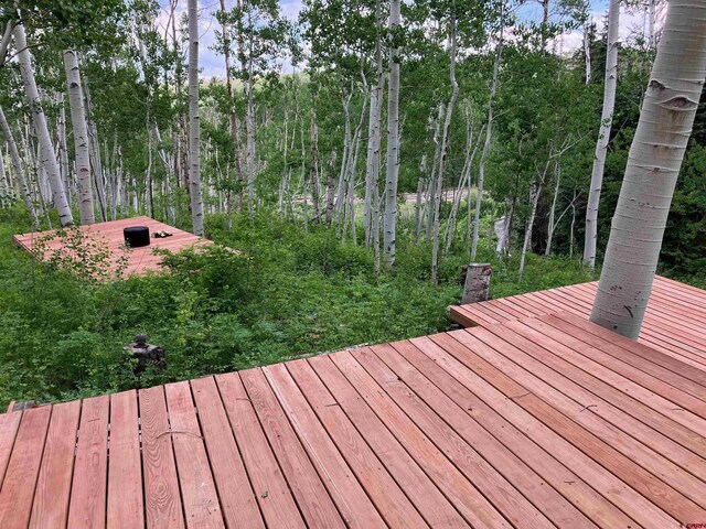 3170 San Juan Vista Rd, Placerville, CO 81430