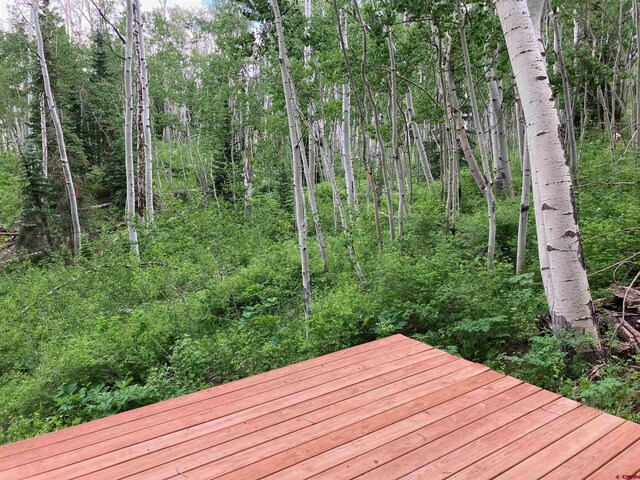 3170 San Juan Vista Rd, Placerville, CO 81430