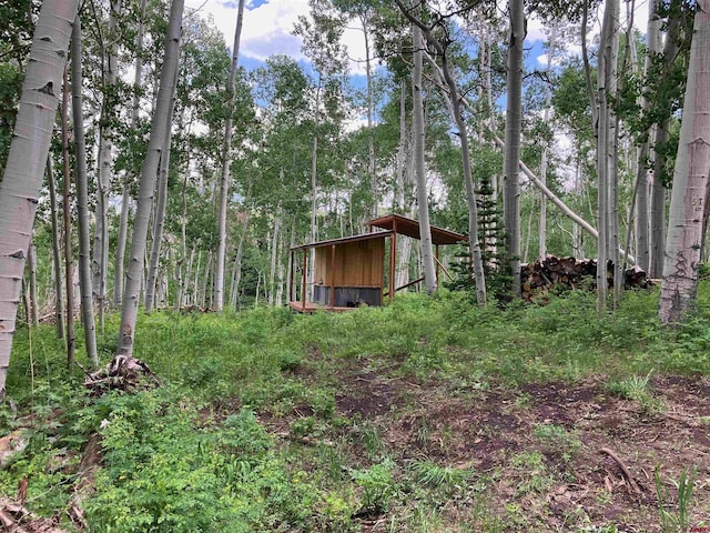 3170 San Juan Vista Rd, Placerville, CO 81430