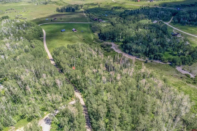 3170 San Juan Vista Rd, Placerville, CO 81430