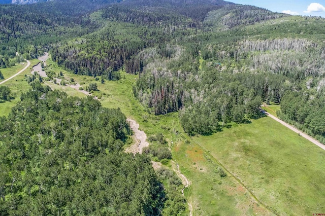 3170 San Juan Vista Rd, Placerville, CO 81430