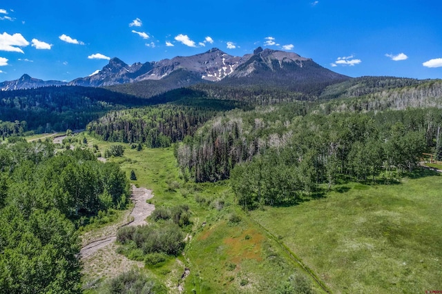 3170 San Juan Vista Rd, Placerville, CO 81430