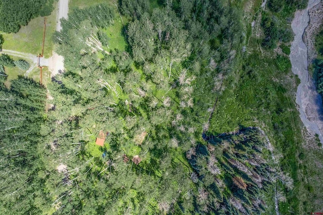 3170 San Juan Vista Rd, Placerville, CO 81430