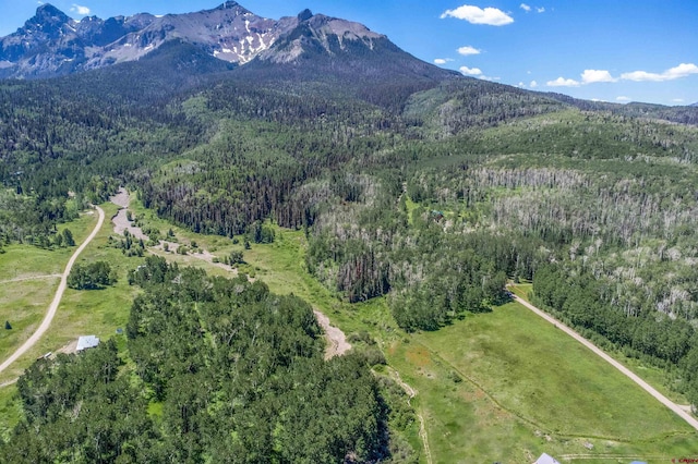 3170 San Juan Vista Rd, Placerville, CO 81430