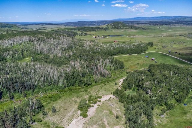3170 San Juan Vista Rd, Placerville, CO 81430