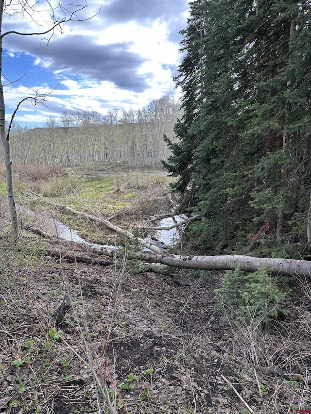 3170 San Juan Vista Rd, Placerville, CO 81430