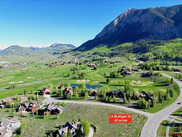 14 Mulligan Dr, Crested Butte, CO 81224