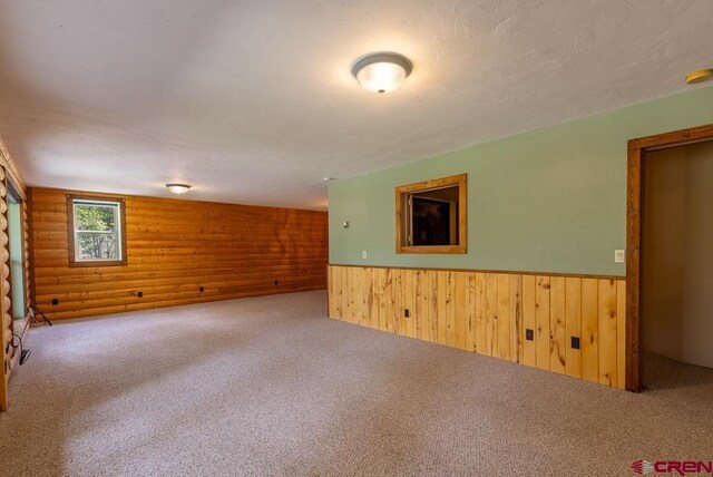 30 Stagecoach Rd, Bayfield, CO 81122 - spare room with carpet, wooden walls, and a wainscoted wall