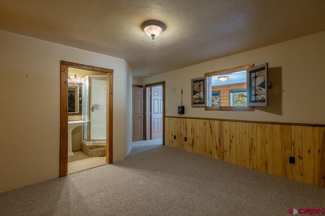 30 Stagecoach Rd, Bayfield, CO 81122 - spare room featuring carpet flooring, wainscoting, and wood walls
