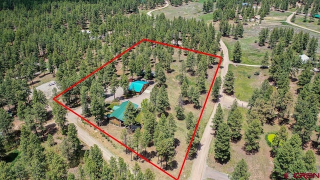 30 Stagecoach Rd, Bayfield, CO 81122 - aerial view of property and surrounding area with property parcel outlined