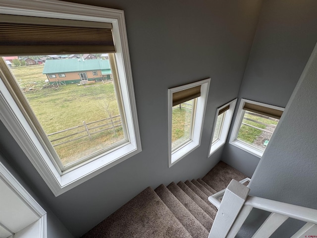 445 Saddle Cir, Pagosa Springs, CO 81147 - stairway with carpet