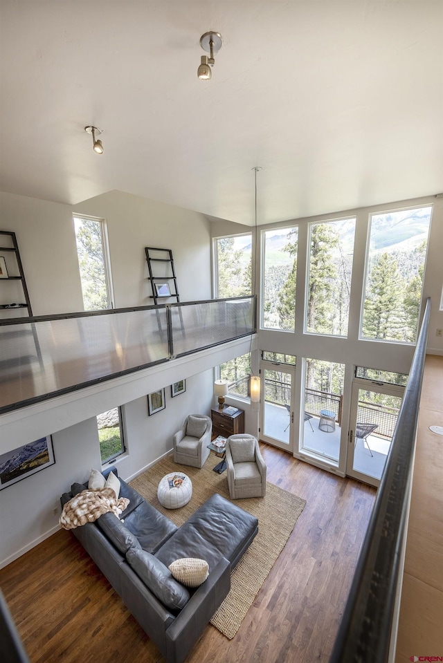 123 Boulders Way, Mountain Village, CO 81435 - living area with wood finished floors