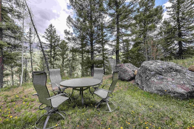 123 Boulders Way, Mountain Village, CO 81435 - view of yard