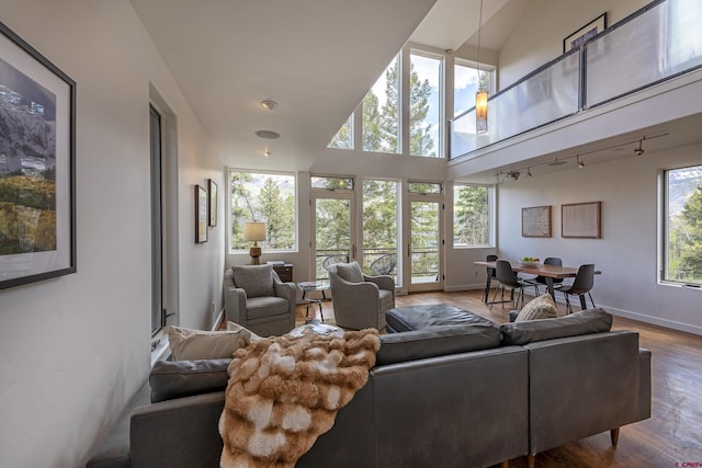 123 Boulders Way, Mountain Village, CO 81435 - living room featuring wood finished floors, baseboards, and track lighting