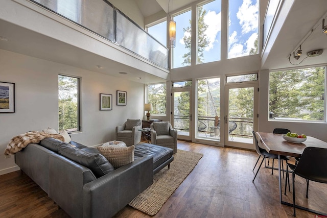 123 Boulders Way, Mountain Village, CO 81435 - living room featuring hardwood / wood-style floors and a high ceiling