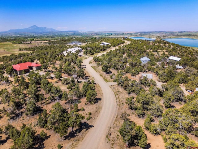 24180 Rd V.4, Dolores, CO 81323 - drone / aerial view of a water and mountain view