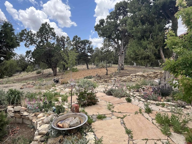 24180 Rd V.4, Dolores, CO 81323 - view of yard