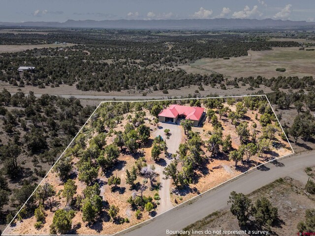 24180 Rd V.4, Dolores, CO 81323 - aerial view of property and surrounding area with property boundaries highlighted and rural landscape