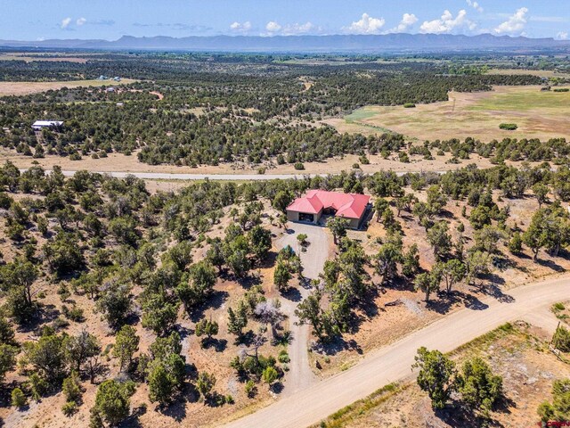 24180 Rd V.4, Dolores, CO 81323 - view of rural area with a mountain backdrop