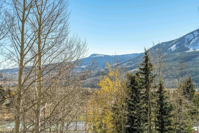 350 Country Club Dr Unit 308A, Crested Butte, CO 81224 - view of mountain backdrop