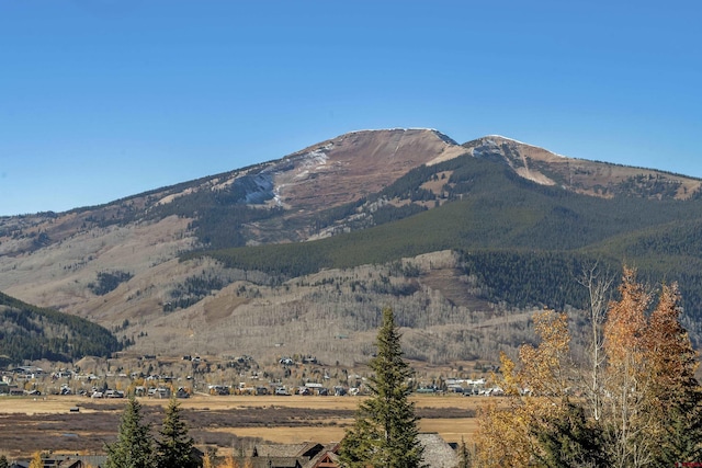 350 Country Club Dr Unit 308A, Crested Butte, CO 81224 - view of mountain background