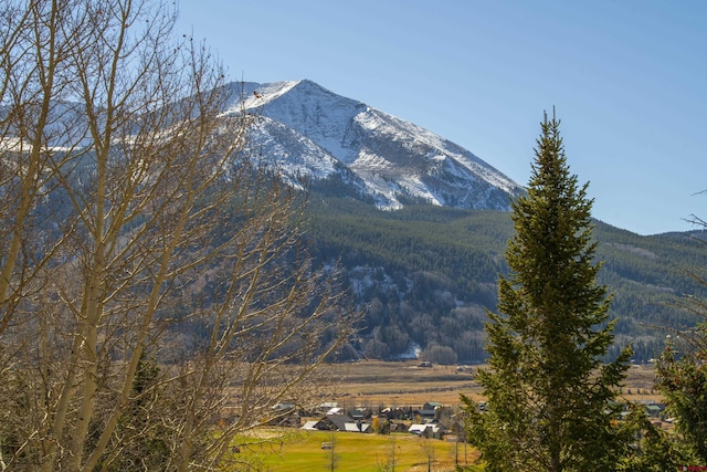 350 Country Club Dr Unit 308A, Crested Butte, CO 81224 - mountain view