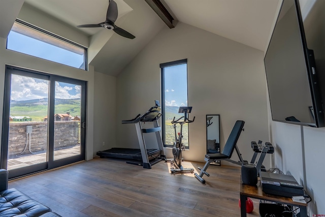 470 White Stallion Cir, Crested Butte, CO 81224 - exercise room featuring wood-type flooring, a ceiling fan, and vaulted ceiling