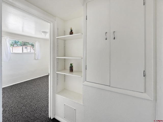135 N 4th St, Hotchkiss, CO 81419 - view of closet