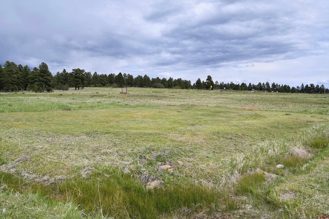 40 Port Ave, Pagosa Springs, CO 81147